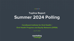 Image of presentation opening slide Summer 2024 Polling