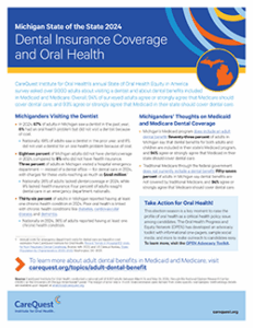 View Michigan report