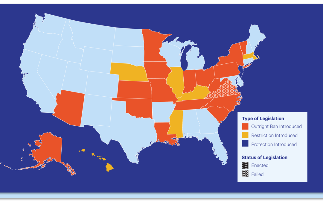 A Conversation about Oral Health Policy Priorities in 2026