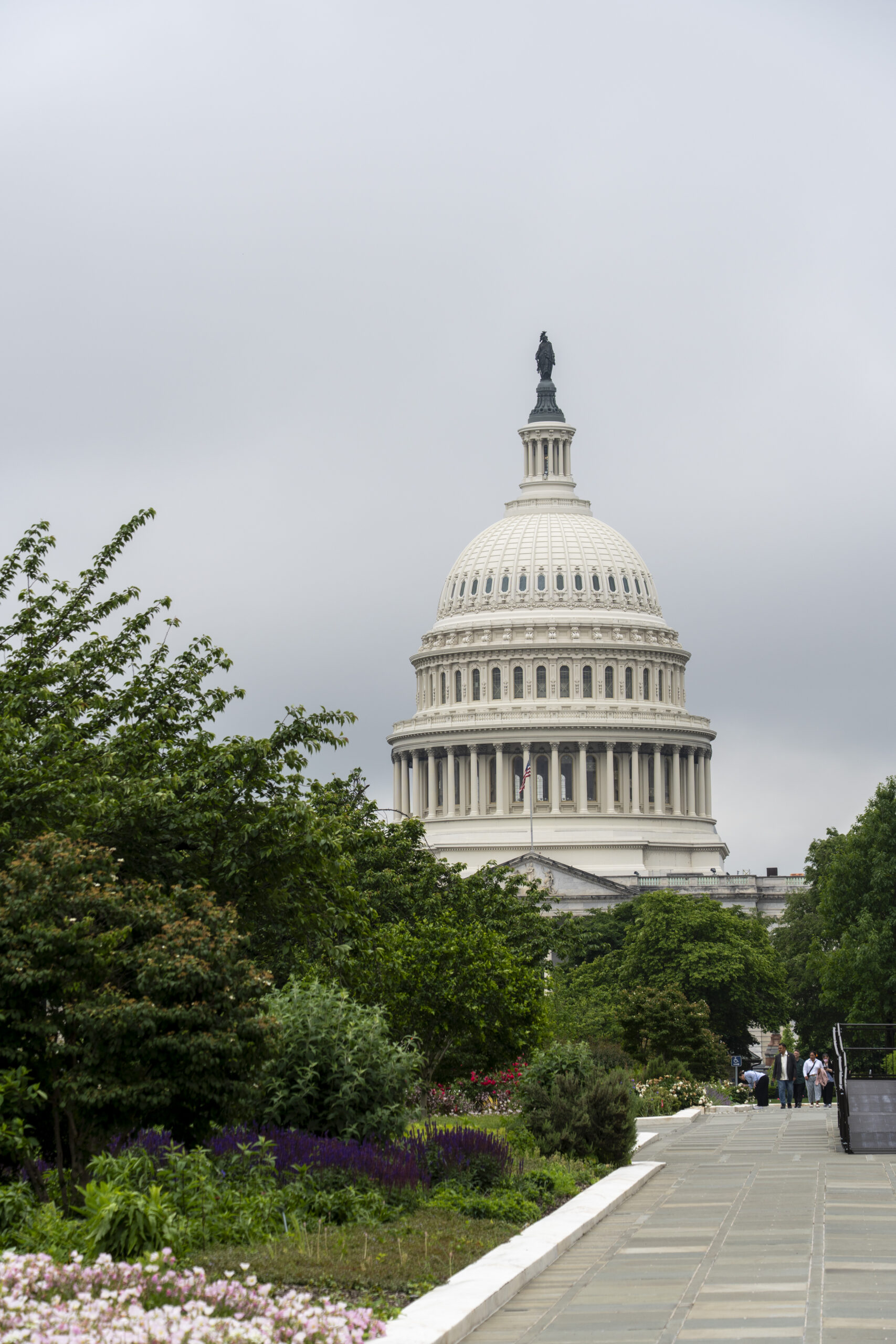 U.s. Capitol Dome Visible Above Greenery and a Winding Path with People in the Distance.