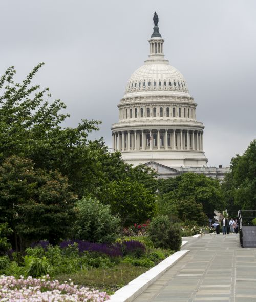 OPEN Hill Day_Capitol – CareQuest Institute U.s. Capitol Dome Visible over a Landscaped Garden and Walkway with People in the Distance.