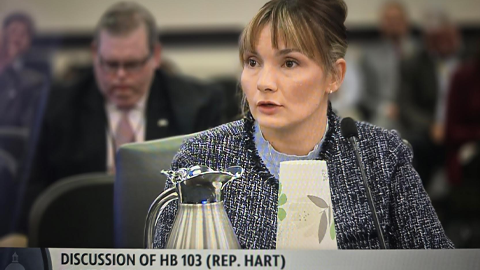 How One State Woman in a Tweed Jacket Speaking into a Microphone During a Committee Discussion on Hb 103, with Others Blurred in the Background and a Banner Visible at the Desk.